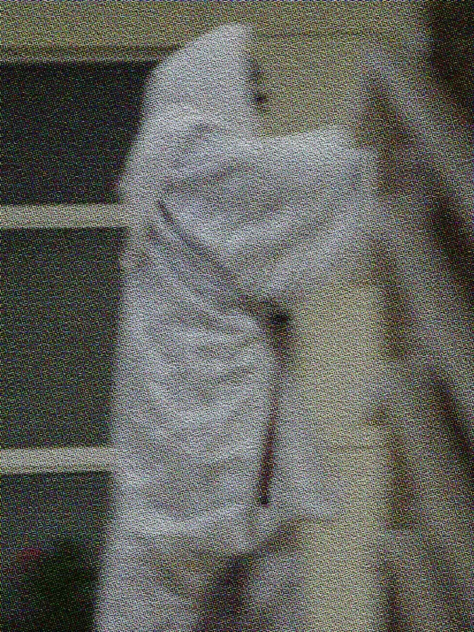 DSC00900w
