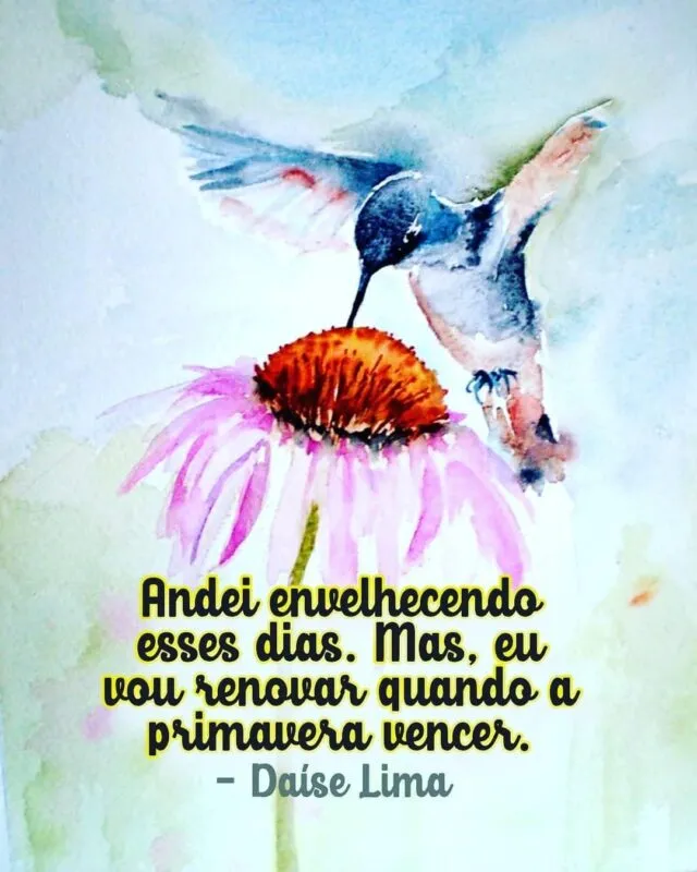 A primavera me renova.