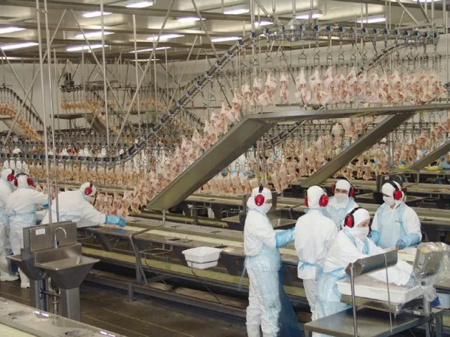 África do Sul reabre seu mercado à carne de frango dos EUA