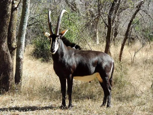 Águas de Angola: Pilar essencial de uma natureza sem igual