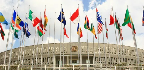 UNCC_flags