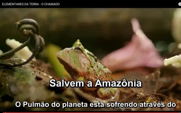 foto 6 amazonia