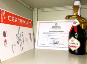 Dois troféus um nacional e outro internacional vindo da África do Sul aos 25 anos de idade.