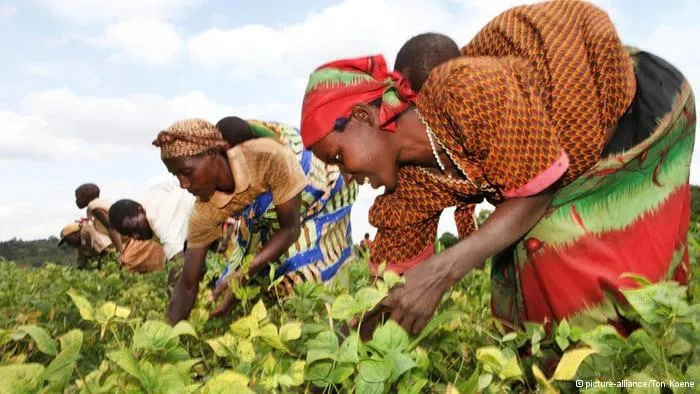 Onze milhões de pessoas livres da fome no continente africano