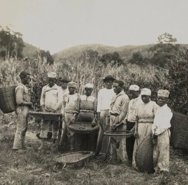 Resistência no Vale do Paraíba.