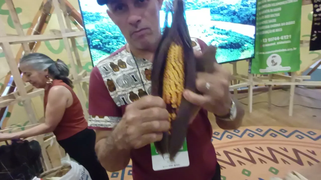 Ivo Santos Rosa mostra uma espiga de milho crioulo de palha escura