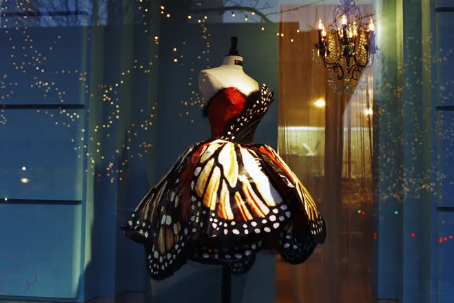 Vestida de borboleta